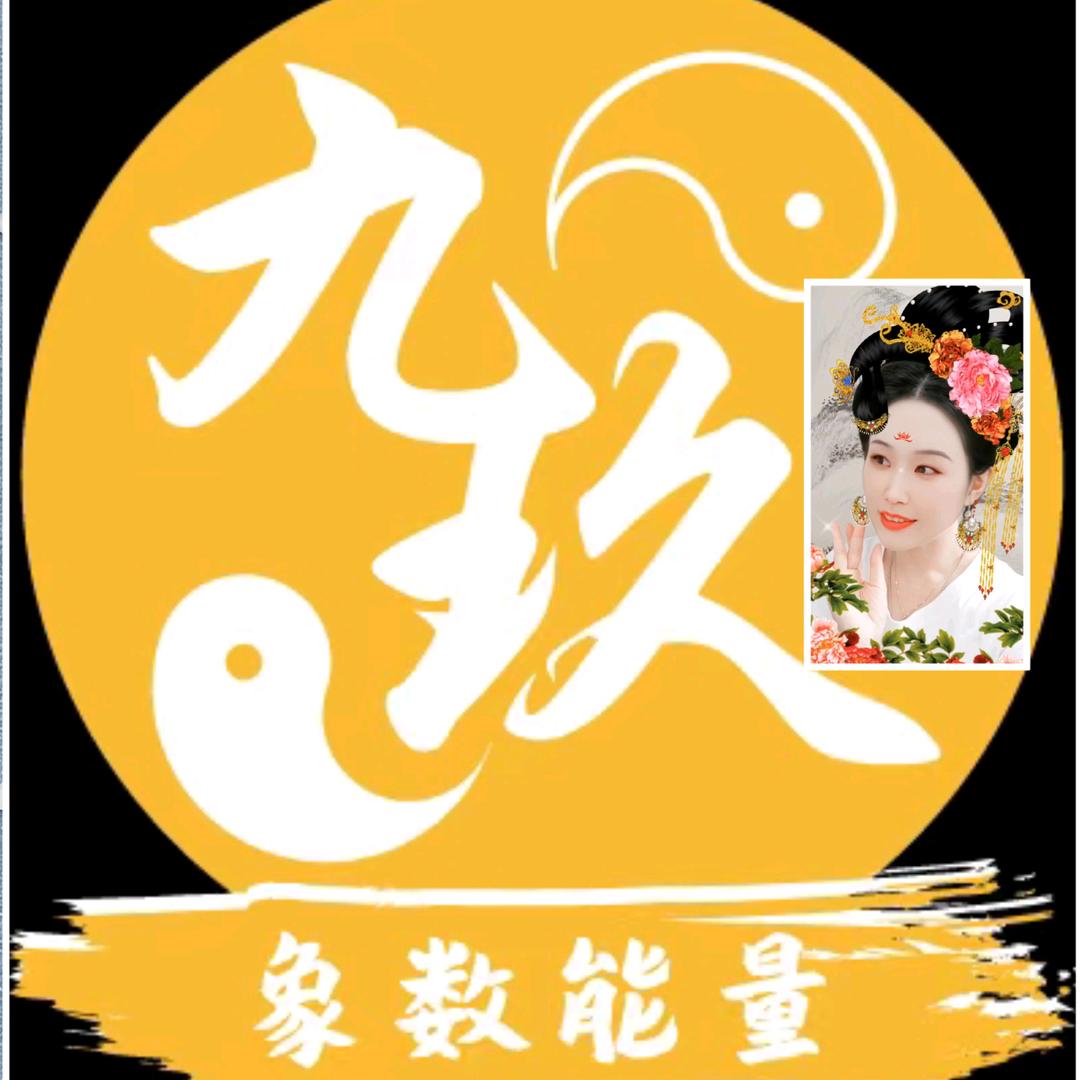 念念爱象数