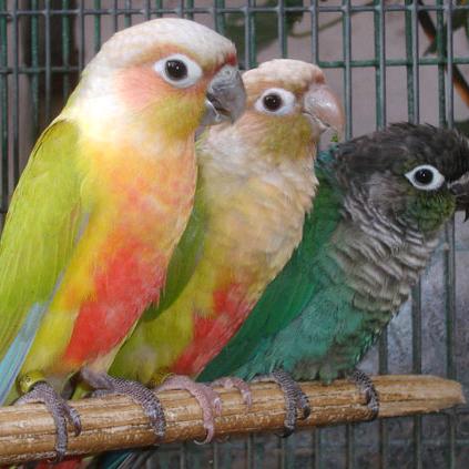 半城烟火半城仙℡