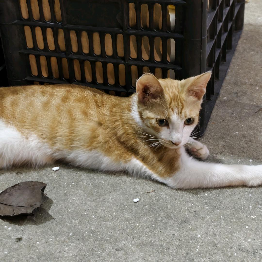 95后工薪族在宁找房