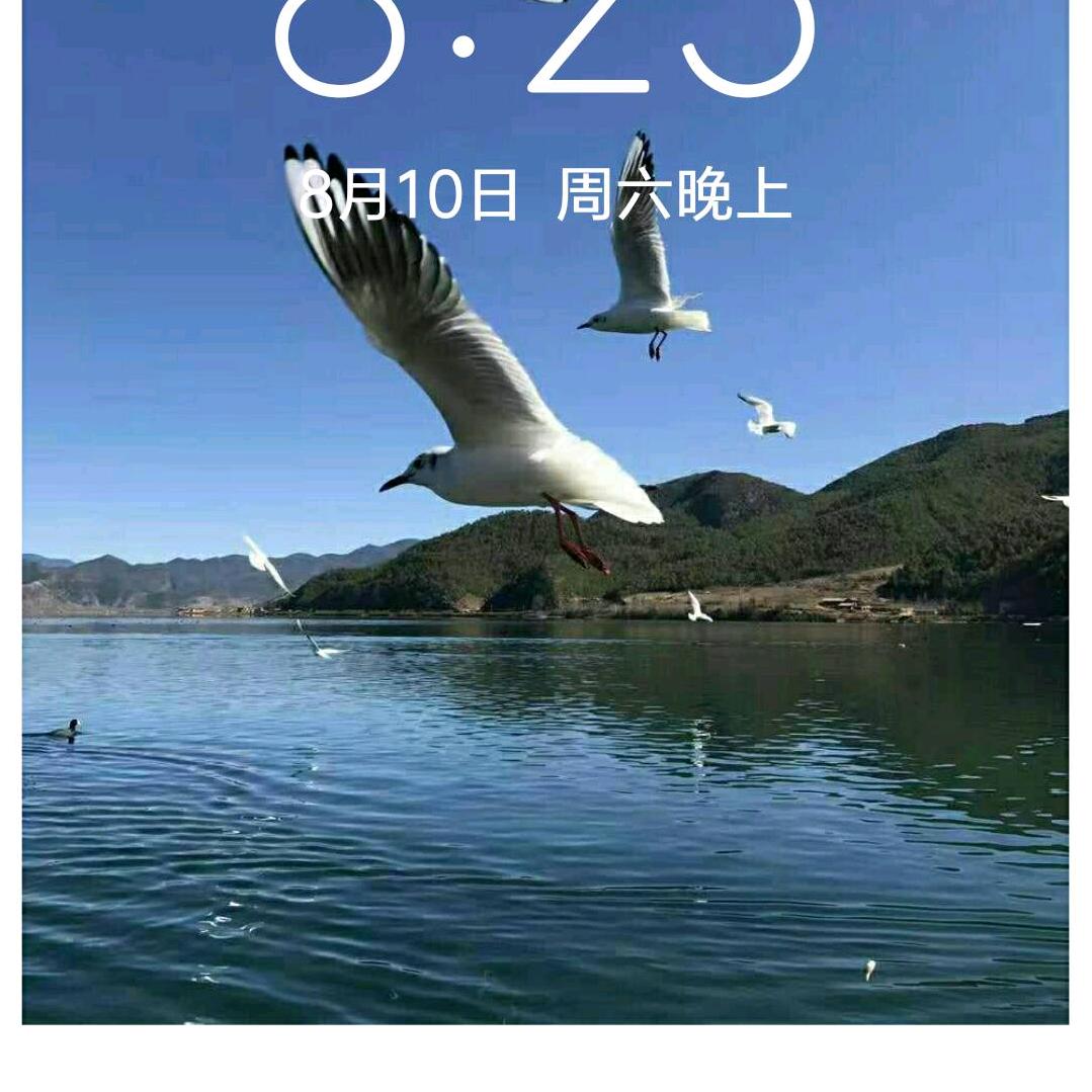 万里行，