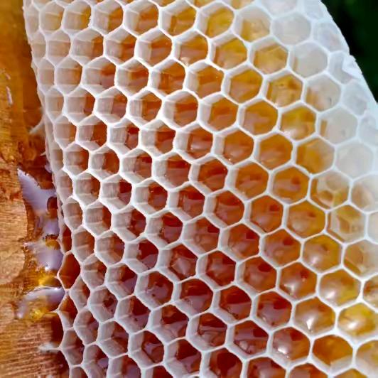 稀里糊涂的泽哥