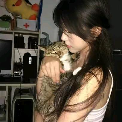 翟魅