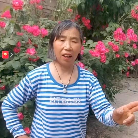 花 好月园