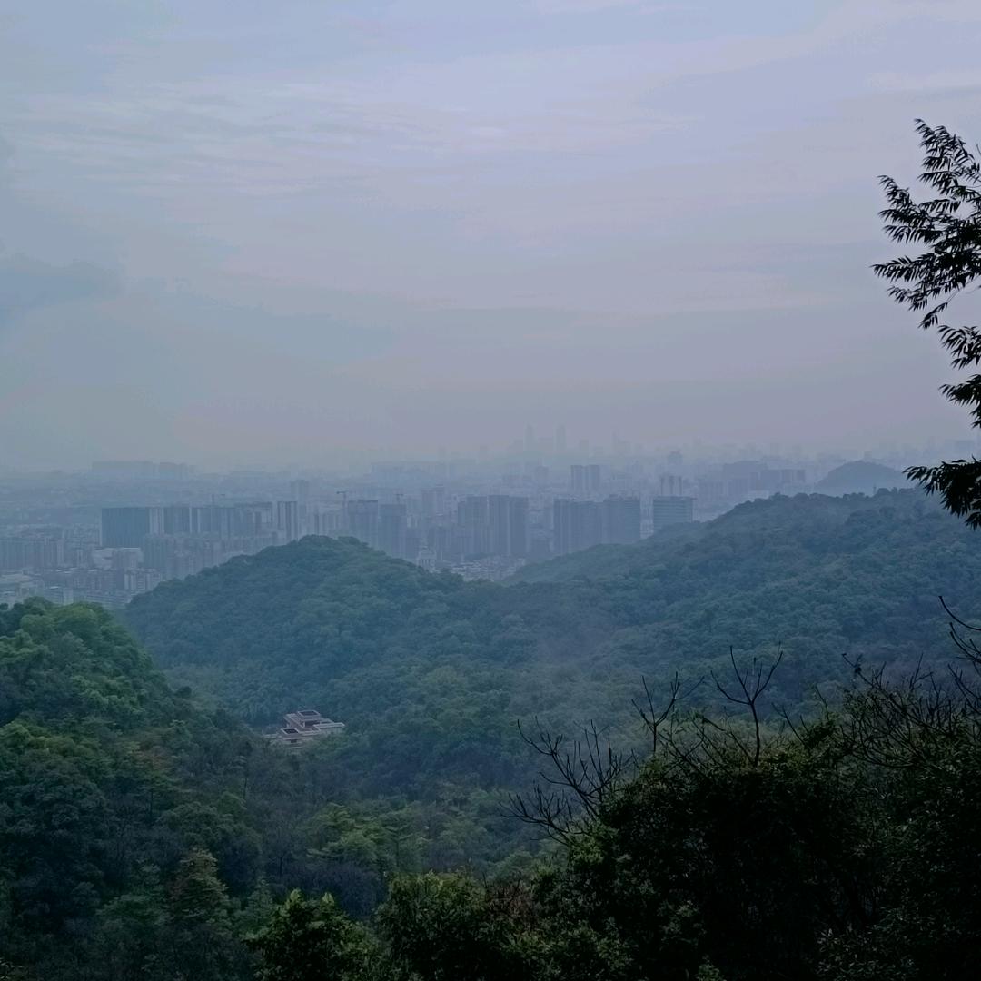 在逃居民