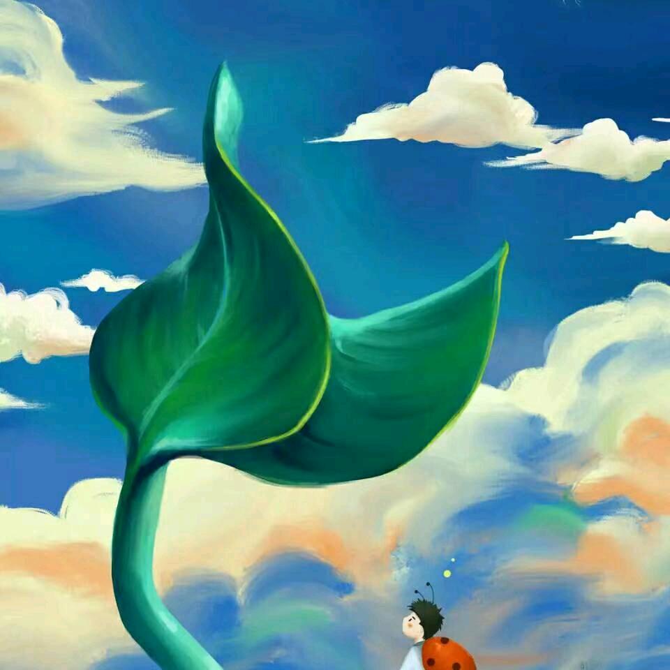 秀凤