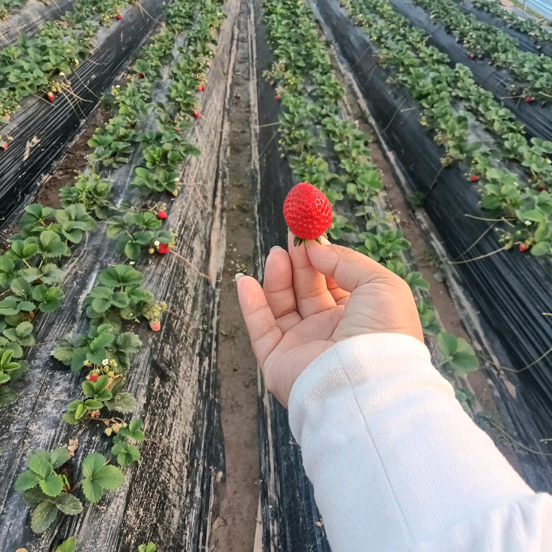 ヽ亭(爱´∀梁‘爱)ノ