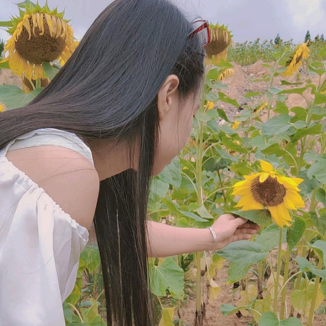 川妹小兰兰