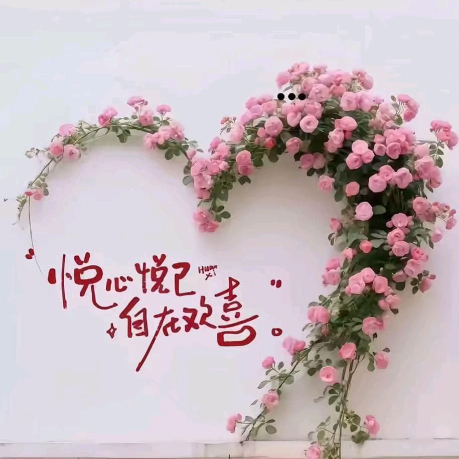 晚风↗