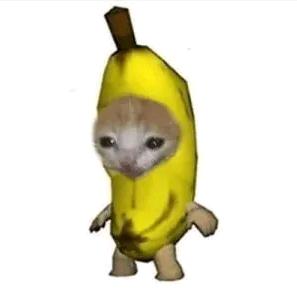 小黄鱼(✪▽✪)