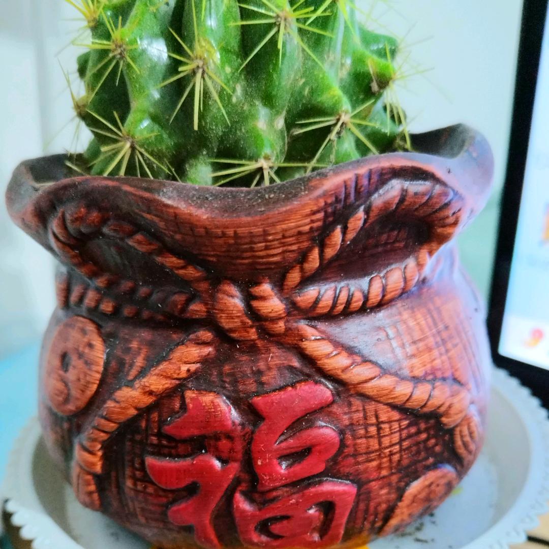 玖㿟沂女装商行