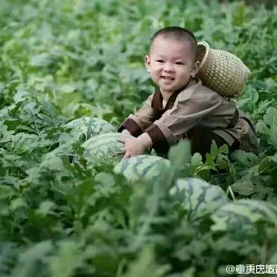 第二支羽毛