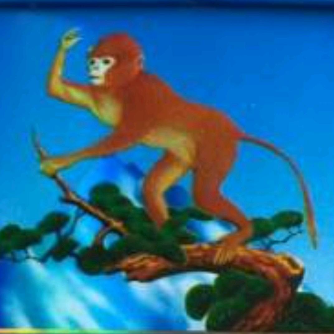 风起等云涌