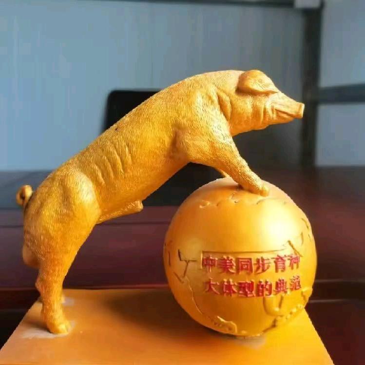 云南种猪养殖