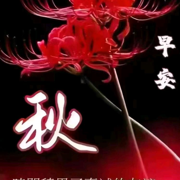 早上的太阳@