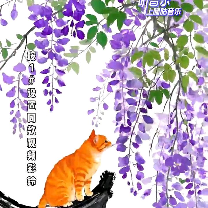 华乔