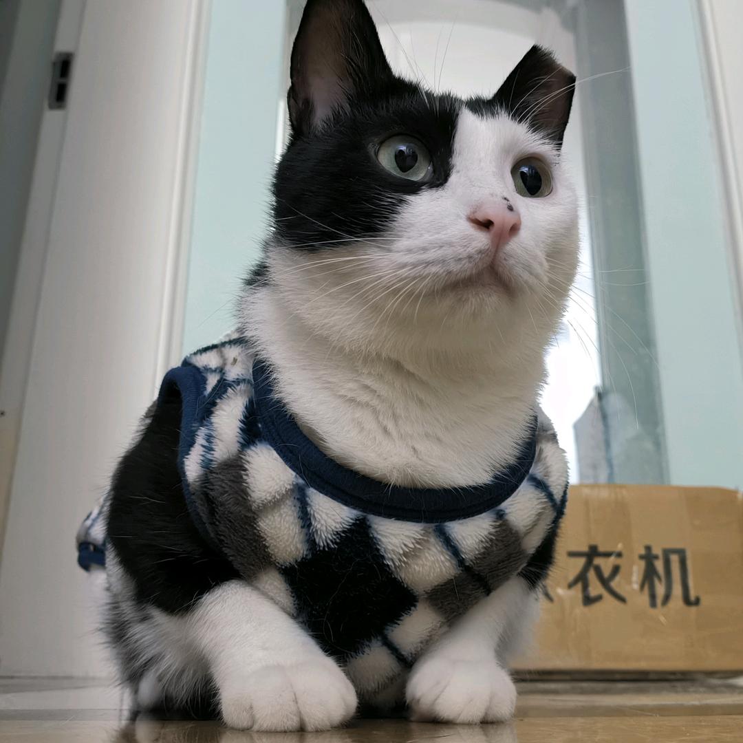 蝦仁不眨眼