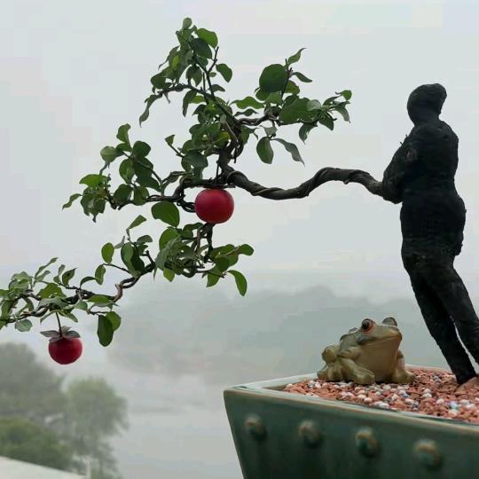 🍎一往🍓情深🍒🍒