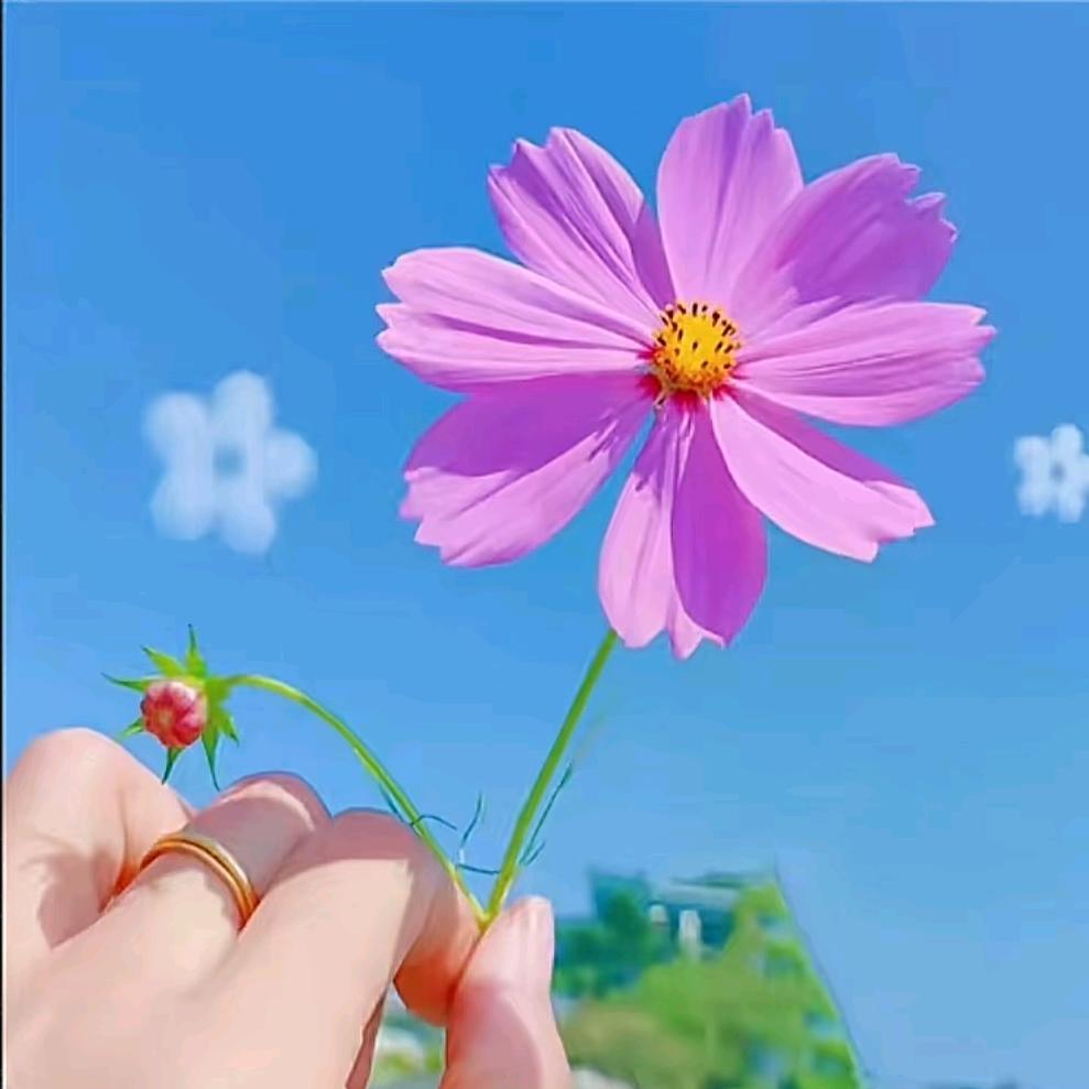 忆流年
