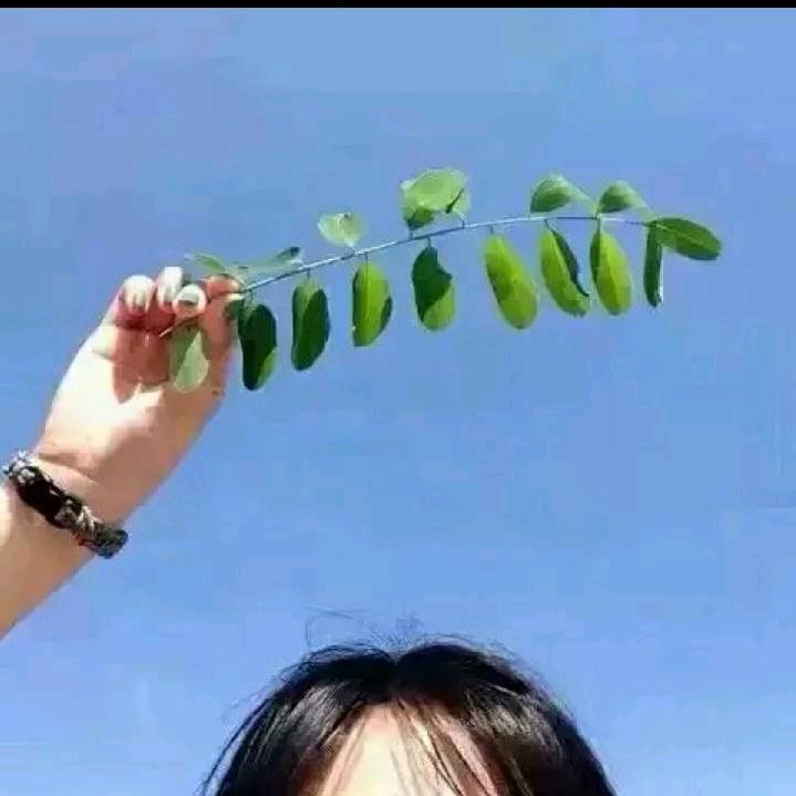 什么也不喜欢