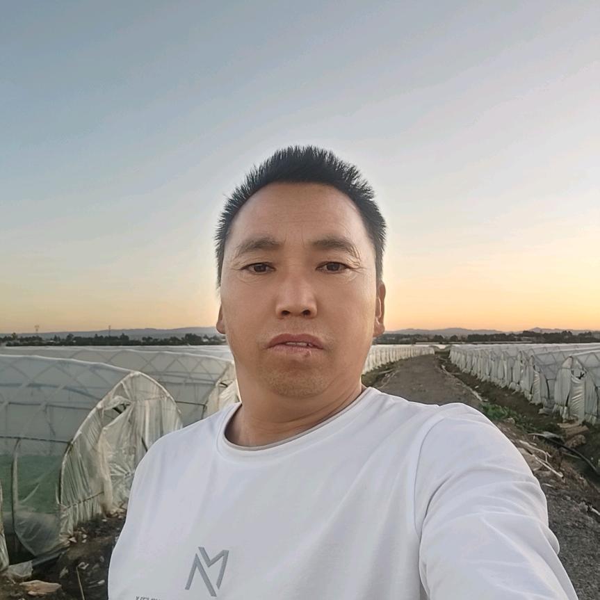 礼哥爱你