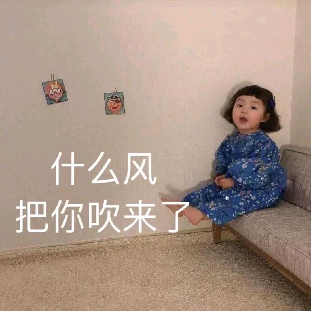 SLT