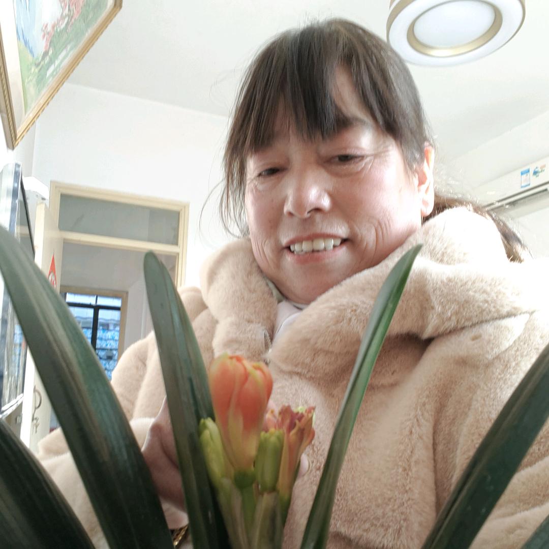 胡正琼