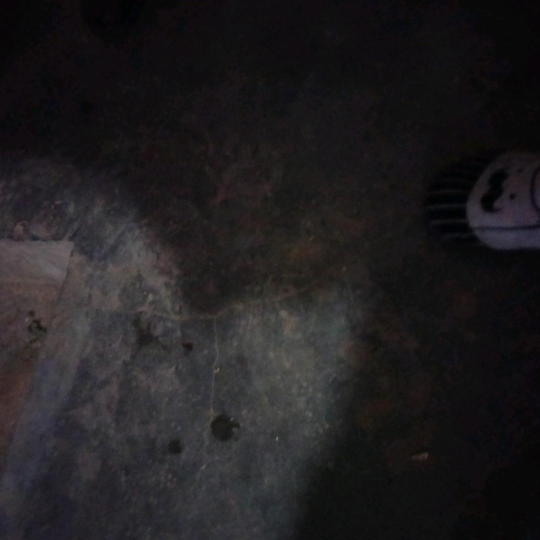 ＜天行健亿吾生生不息＞效法地正贤子忠永圣