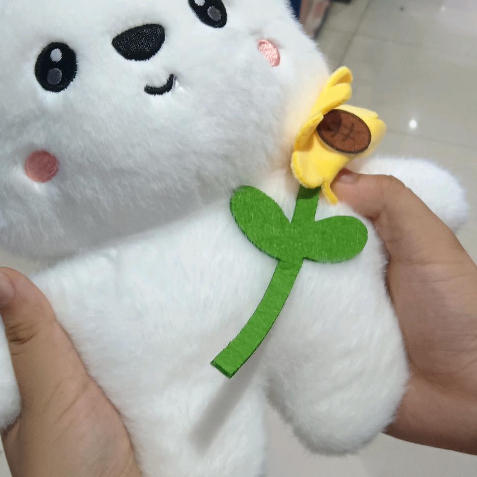 无忧伤还是快乐
