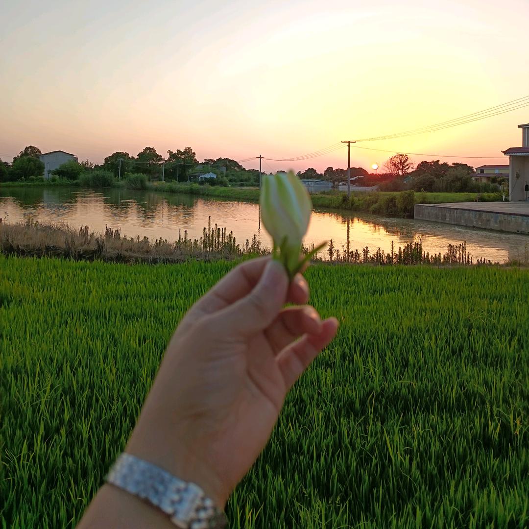 玲a