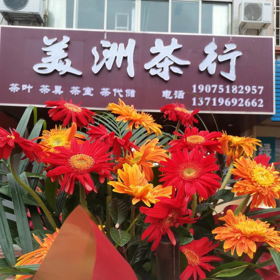 阳春美洲茶行～🌻酥酥酥