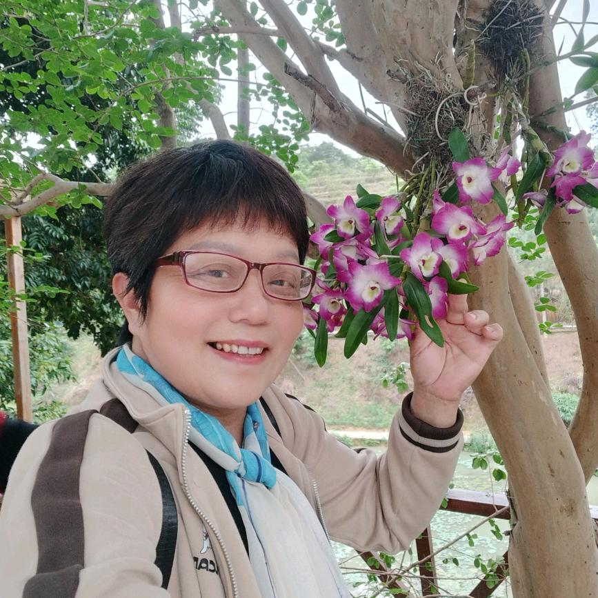 开心果（爱音乐）真人真唱。创业