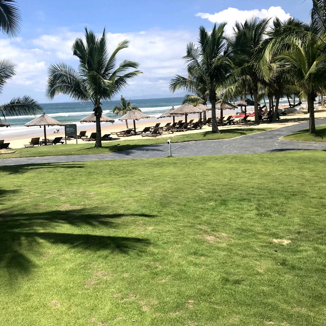 大庆