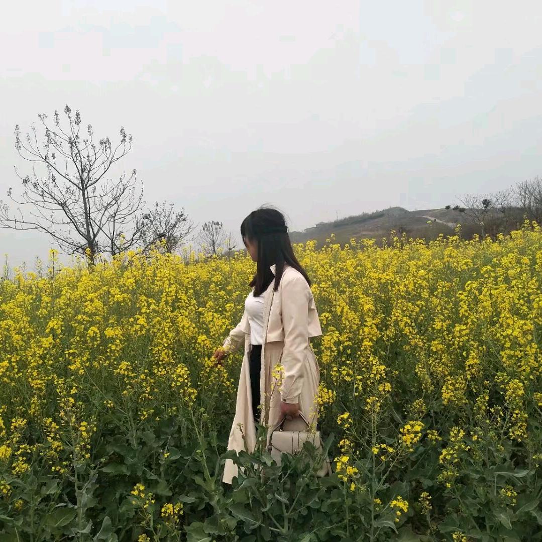假如