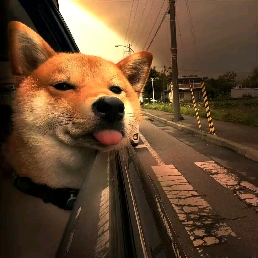 _(:3」∠❀)_