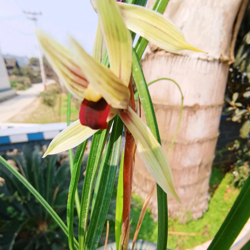 阳台居士优品小铺