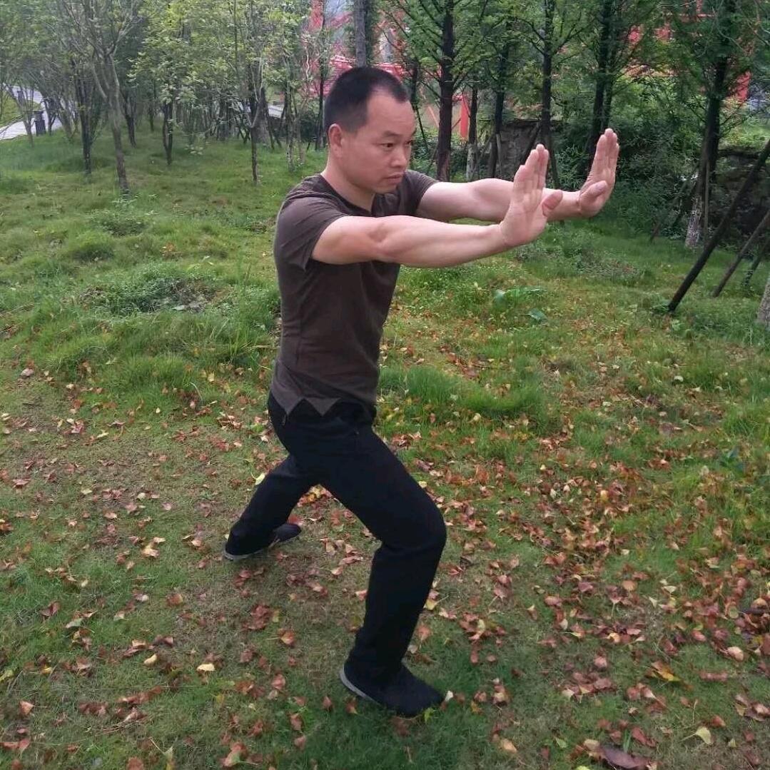 台铃-兵哥字门拳
