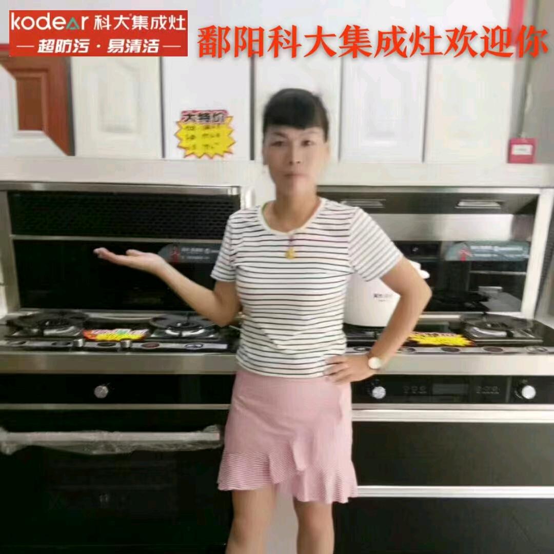 鄱阳科大集成灶&洗碗机爱爱