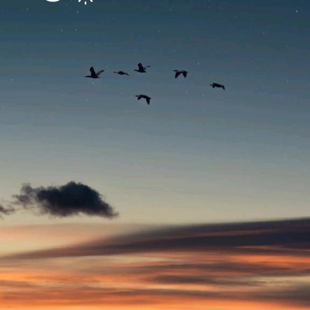 夜晚