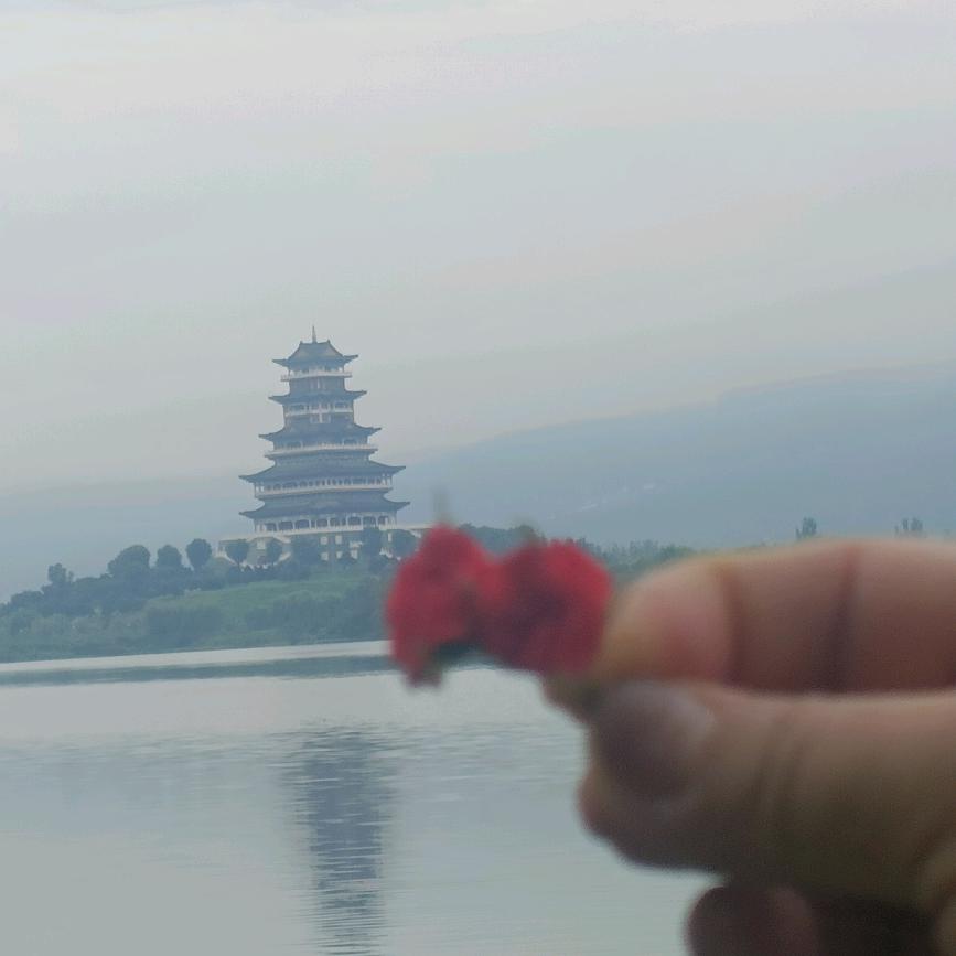 暮色伊人