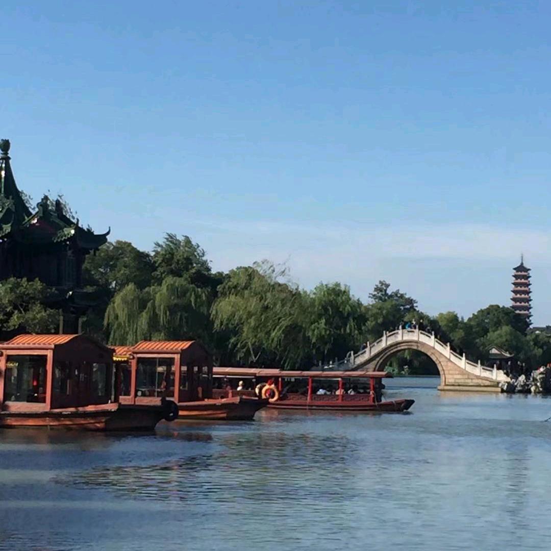 强鹰456直播号