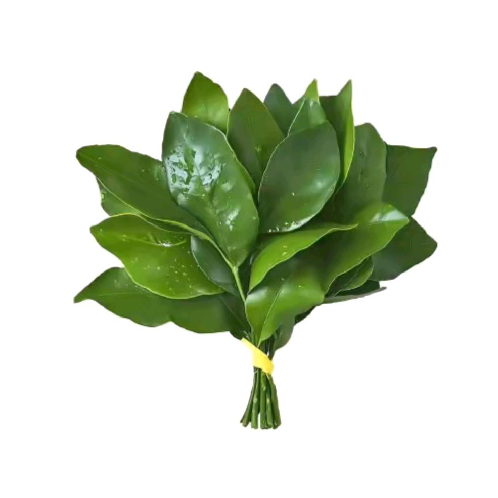我一直在想