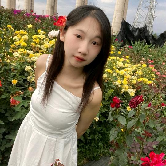 小凤仙🍓