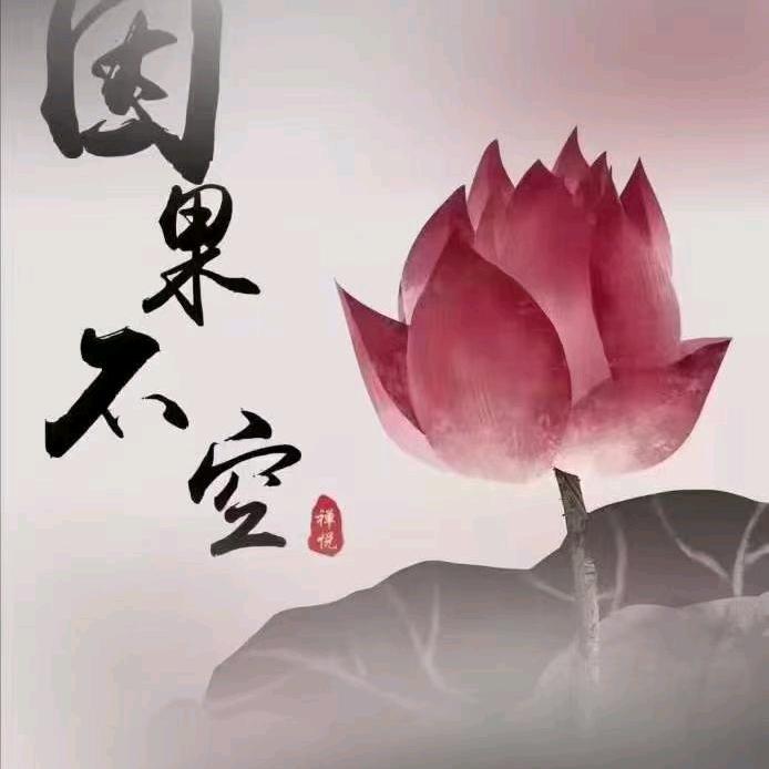 七秒的回忆.