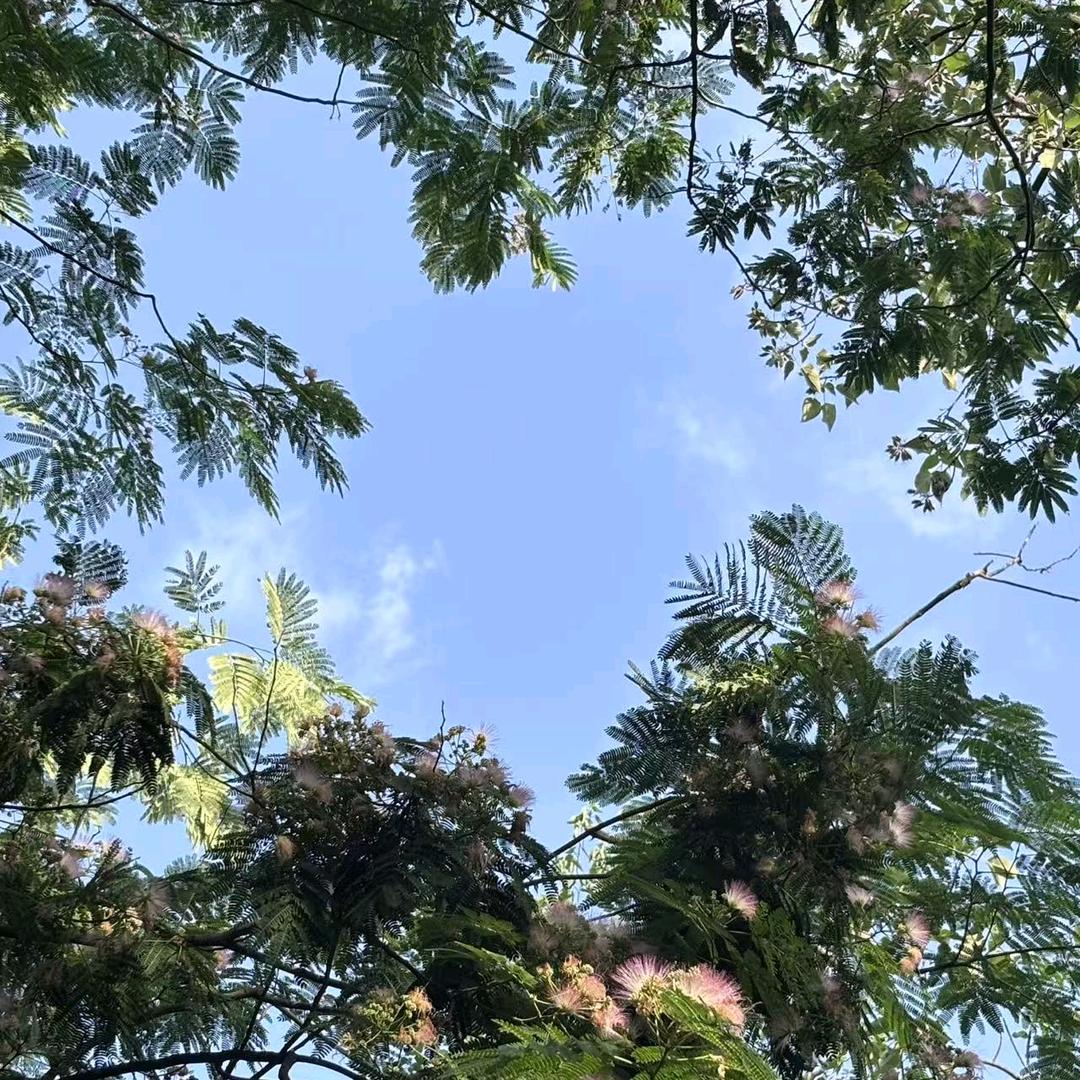 雨后晴空