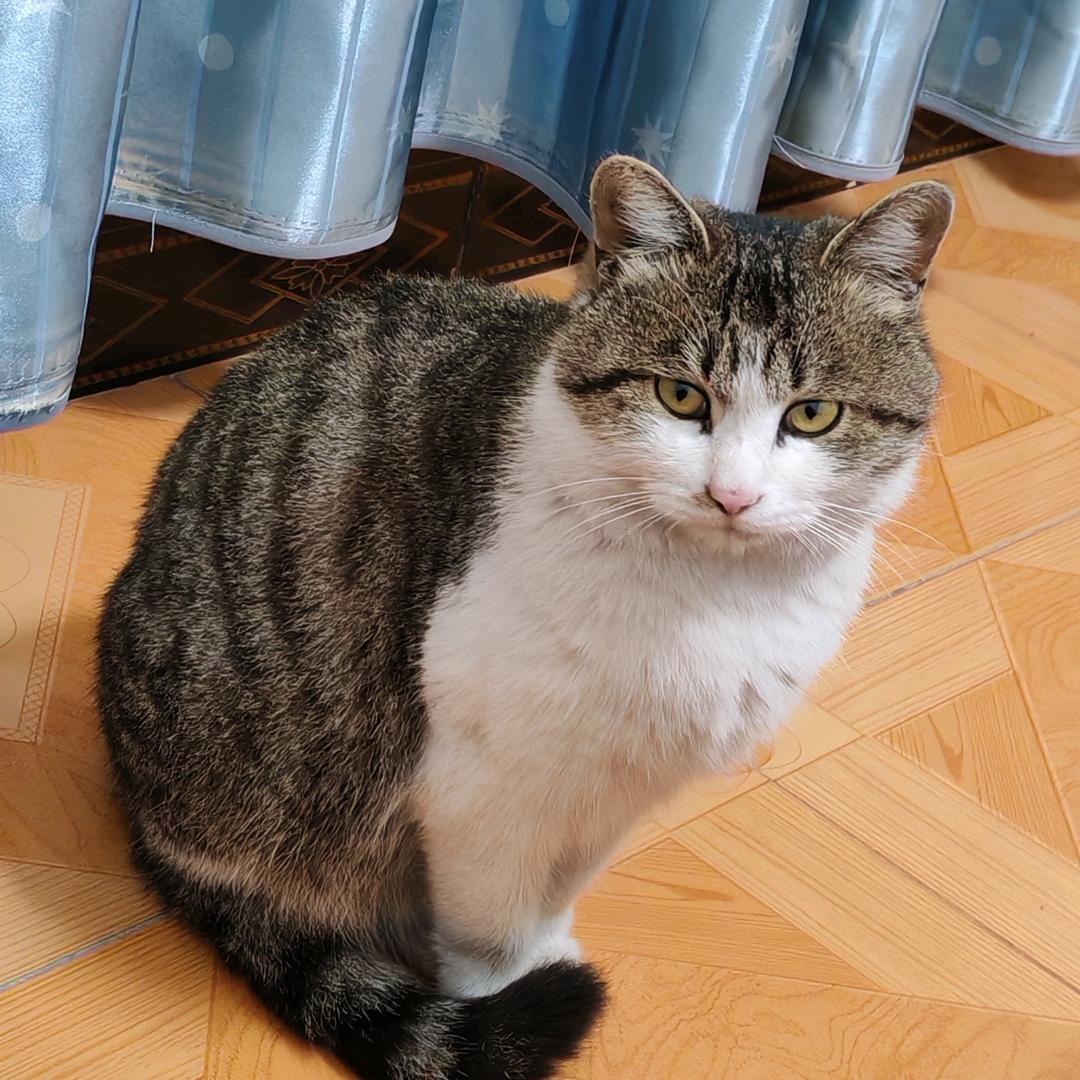 困困鱼（涨粉中）