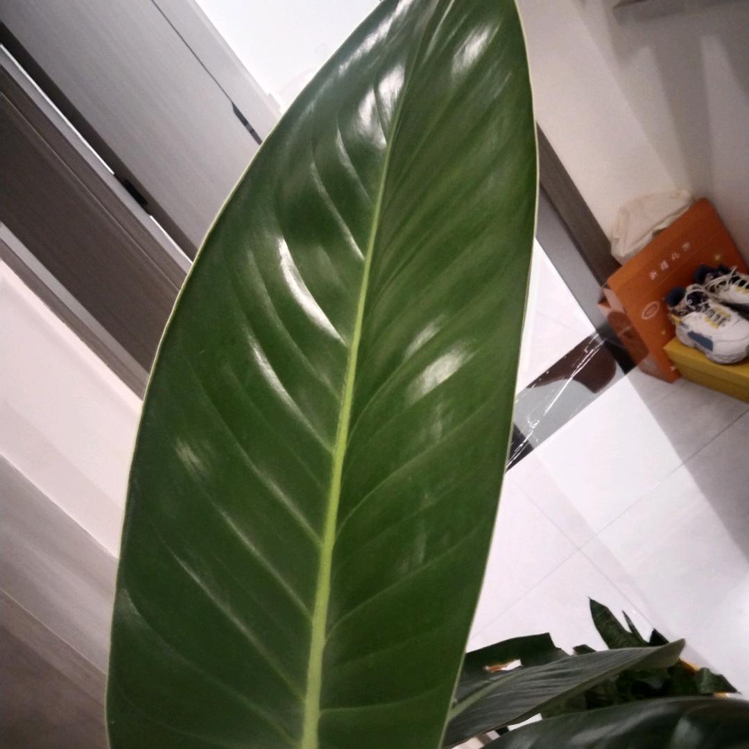 感悟