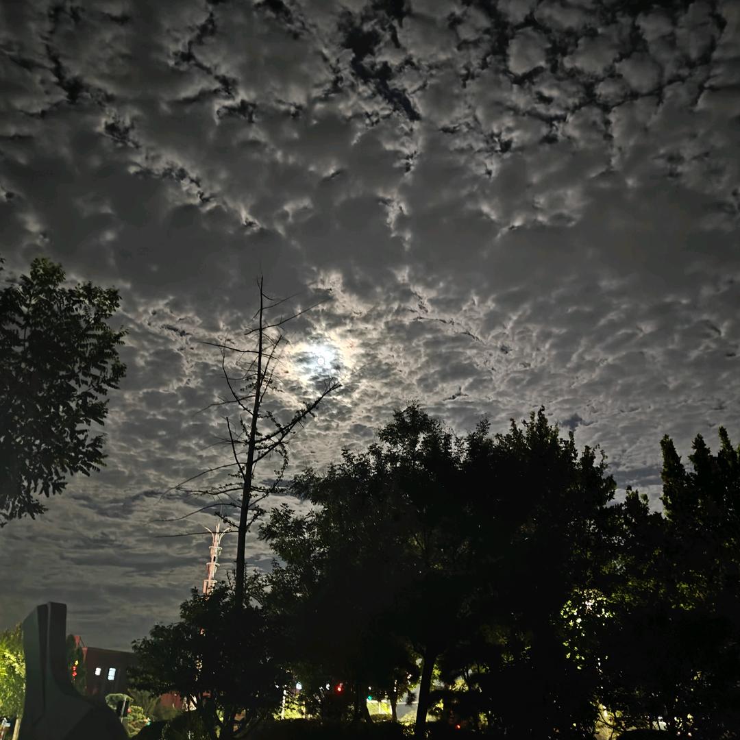 是小锦鲤
