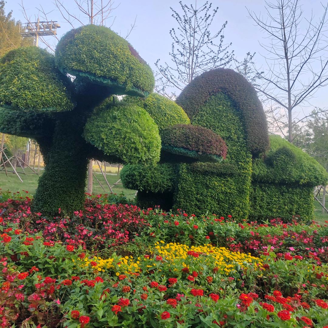 @写字的柠檬