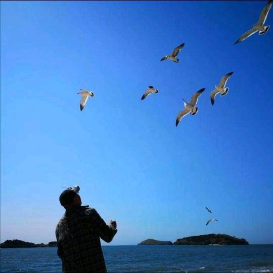 广西唐哥