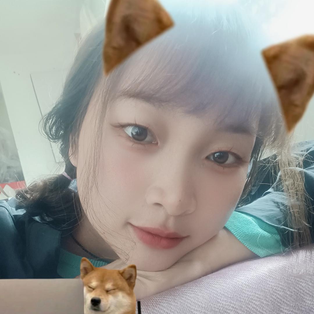 豆豆包🫰❤